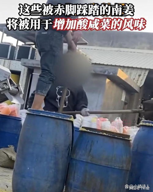 腳踩腌菜背后 315曝光的食品安全隱憂(yōu)與腌制行業(yè)監(jiān)管之困