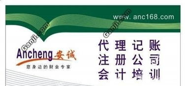蜀山井崗路企業一站式財稅服務指南 代理記賬、進出口權及審計變更全解析